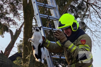 nieuws molenstraat ede