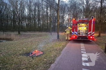 brand weidepad ede