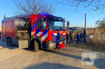brand roggebot urk