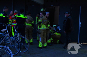 brand de bird leeuwarden
