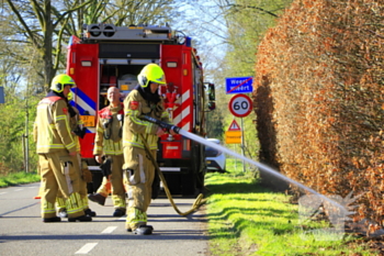 brand diesterbaan weert
