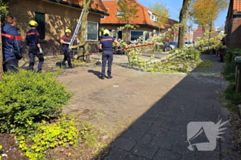 natuur jan philipsweg gouda