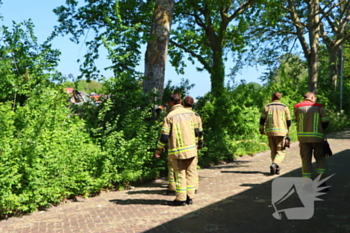 natuur vissersdijk zierikzee