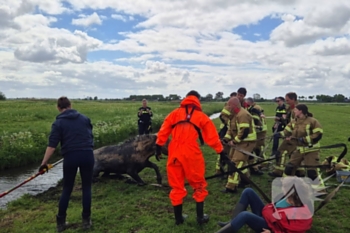 nieuws molenweg strijen