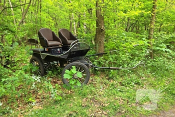 ongeval asakkerweg ede