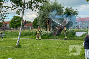 brand julianasluispad gouda
