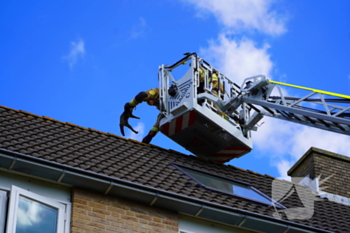 nieuws nellie van kolstraat leiden