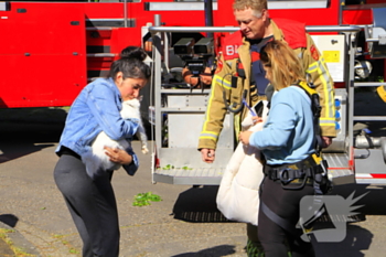 nieuws magdalenastraat weert