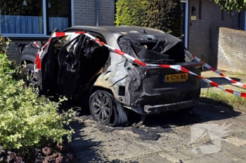 brand spinozastate ede