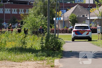 steekincident palmentuin rotterdam