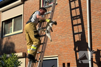 nieuws louis couperusstraat gemert