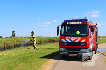 brand havenweg zierikzee