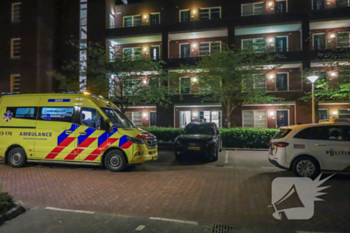 steekincident drakensteyn amstelveen