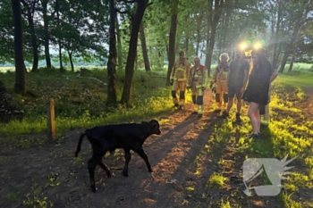 nieuws beekse peeldijk bakel