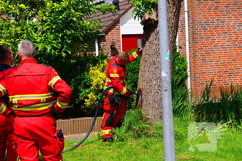 brand melisseweg groningen