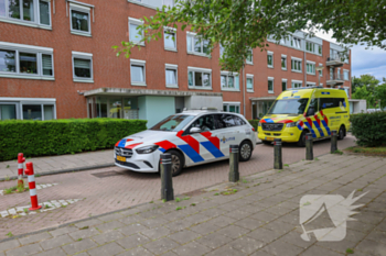 steekincident nigtevechthof amsterdam