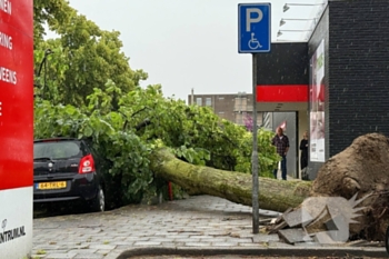 natuur margrietstraat uden