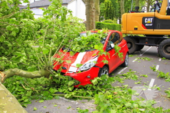 natuur sint jozefslaan weert