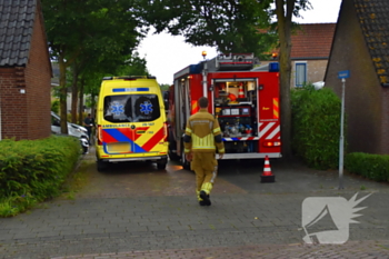 nieuws hooiakker rijen