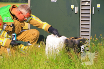 nieuws spechtebaan weert