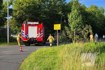 natuur droevendaalsesteeg - n781 wageningen