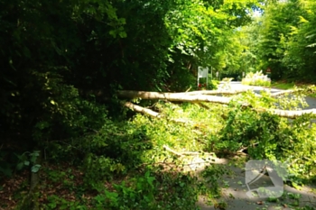natuur beekhuizenseweg rozendaal
