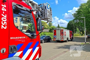 natuur leeuweriklaan bussum