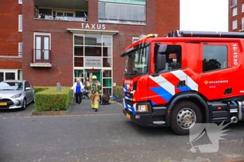 nieuws westerpark rijnsburg