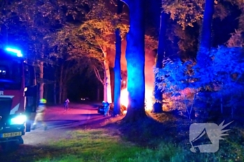 brand de pinkenberg rozendaal