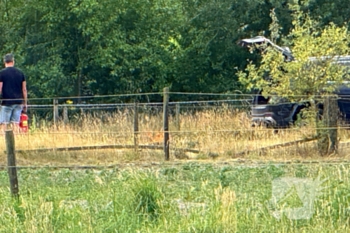 brand hondstraat vorstenbosch