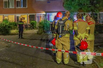 nieuws wintergroen huizen