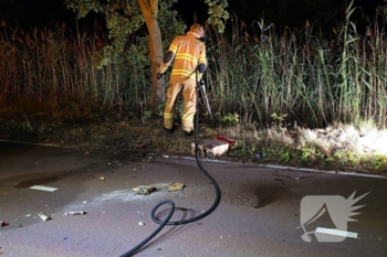 brand frankeneng ede