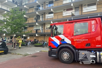 milieu violierstraat katwijk