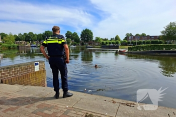 nieuws kamp 43 lelystad