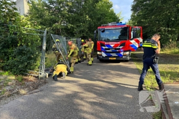 brand staringlaan waddinxveen