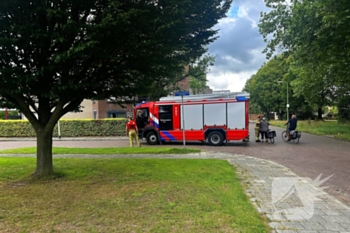 brand speenkruidstraat assen