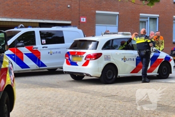 nieuws evenaar alphen aan den rijn