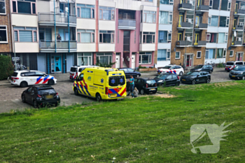 nieuws rotterdamsedijk schiedam