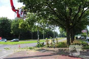 natuur rijksweg - n224 l 38,7 ede