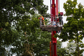 natuur dessinateurplein tilburg