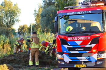 brand coenecoop waddinxveen
