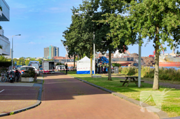 nieuws minervahavenweg amsterdam