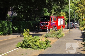 natuur vossenweg bennekom