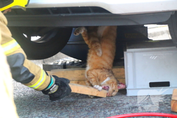 nieuws burgemeester keijzerweg papendrecht