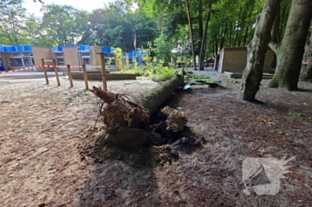 natuur ceelman van ommerenweg ede