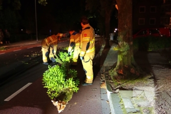 natuur president kennedylaan velp