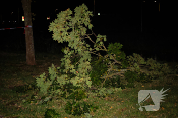 ongeval duinzicht valkenburg