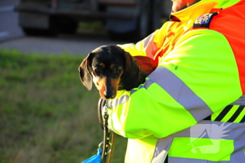 ongeval maaseikerweg - n292 4,0 weert