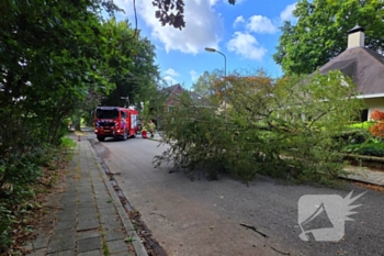 natuur selterskampweg bennekom