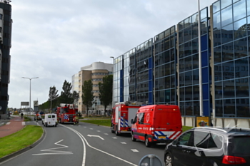 natuur lange marktstraat leeuwarden